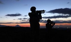 Kırmızı kodla aranıyordu! PKK'lı terörist Mardin'de yakalandı