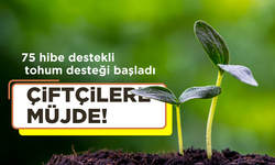 Manisalı çiftçilere tohum desteği