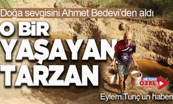 Yaşayan Tarzan Mehmet Erbil: 55 yılda binlerce fidan dikti