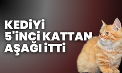 Sınıf gözetmeni kediyi 5. kattan aşağı itti