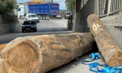 Tır alt geçitten geçerken tomrukları yola düşürdü