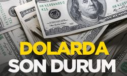 12 Kasım Salı döviz fiyatları: Dolar ne kadar oldu? Euro kaç TL?