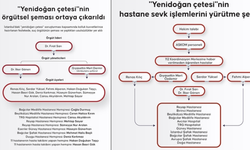 "Yenidoğan çetesi"nin örgütsel şeması ortaya çıkarıldı