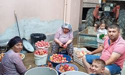 Sarıgöl'de evlerde nar ekşisi yapımına başlandı