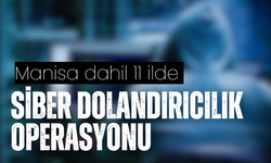 Manisa dahil 11 ilde siber dolandırıcılık operasyonu