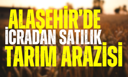 Alaşehir'de icradan satılık tarım arazisi