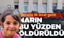 Narin davasında cinsel ilişki itirafı: Narin bu yüzden öldürüldü