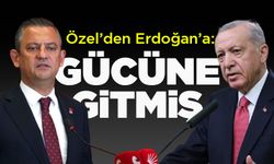 Özel'den hakaret davası açan Erdoğan'a; "Gücüne gitmiş"