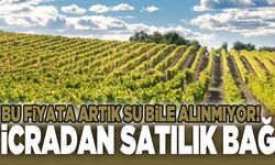 Saruhanlı’da icradan satılık bağ!