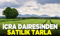 Şehzadeler’de icradan satılık tarla