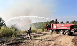 Hatay’da orman yangını rüzgarın etkisiyle büyümeye devam ediyor