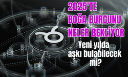 2025 yılı boğa burcu yorumu, yeni yılda boğa burcunu neler bekliyor?