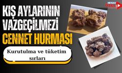 Cennet hurmasının kurutulma ve tüketim sırları