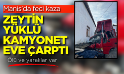 Zeytin yüklü kamyonet eve çarptı