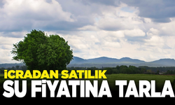 Manisa Salihli’de satılık tarla