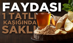 Faydası 1 tatlı kaşığında saklı