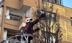 Manisa’da minik kediye kurtarma operasyonu