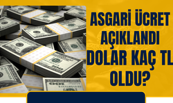 Döviz Kurları 25 Aralık 2024: ABD Doları, Euro, Sterlin ve Avustralya Doları Güncel Fiyatları