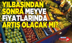 Yılbaşından sonra meyve fiyatlarında artış olacak mı?