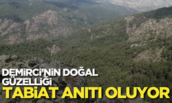 Demirci’nin doğal güzelliği tabiat anıtı oluyor