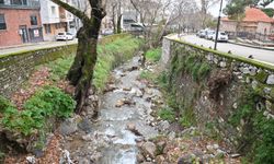 Manisa’da Çaybaşı Deresi’nde temizlik seferberliği