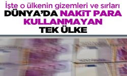 Dünya’da nakit para kullanmayan tek ülke: İsveç’in gizemi ve sırları…