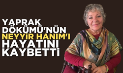 Yaprak Dökümü'nün Neyyir Hanım'ı hayatını kaybetti