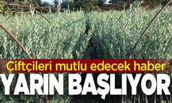 Kırkağaç’ta zeytin fidanı dağıtımı yarın başlıyor
