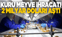 Türkiye'nin kuru meyve ihracatı 2 milyar dolara yaklaştı