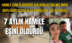 Hamile eşinin canına kıydığı için ağırlaştırılmış ömür boyu hapis cezası alan sanığa şok suç duyurusu