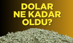 4 Ocak 2025 Cumartesi Dolarda son durum, yeni yıla saatler kala Euro kaç TL oldu?