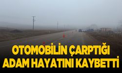 Otomobilin çarptığı adam hayatını kaybetti