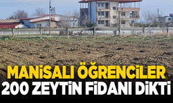 Manisalı öğrenciler 200 zeytin fidanı dikecek