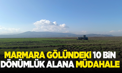 Marmara gölündeki 10 bin dönümlük alan müdahale