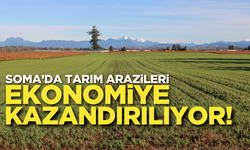 Soma’da tarım arazileri ekonomiye kazandırılıyor!