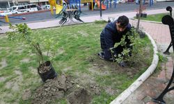 Şehzadeler’de bakım çalışmaları devam ediyor