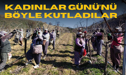 Manisalı tarım işçileri kadınlar gününü üzüm bağında kutladı