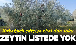 Zeytin listede yok! Kırkağaçlı çiftçiye zirai don şoku