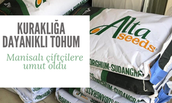 Kuraklığa dayanıklı sorgum Manisalı çiftçilere umut oldu