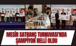 Mesir Açık Satranç Turnuvası'nda Şampiyon İranlı IM Arash Tahbaz oldu