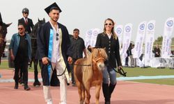 Kep takan sevimli at, 4 bin 500 öğrenci ile birlikte mezun oldu