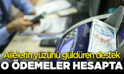 Ailelerin yüzünü güldüren destek: O ödemeler hesapta