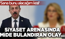 İYİ Parti'li vekilden CHP'li kadın milletvekiline tepki çeken mesaj