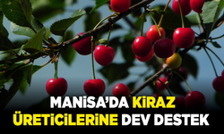Manisa’da kiraz üreticilerine dev destek