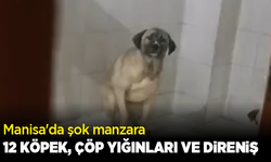 Manisa'da şok manzara: 12 köpek, çöp yığınları ve direniş
