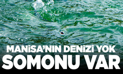 Manisa'nın deniz yok ama somonu var!
