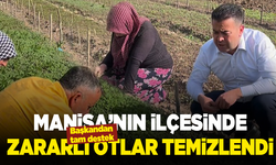 Manisa’nın ilçesinde zararlı otlar temizlendi: Başkandan tam destek