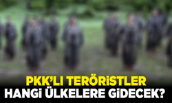 PKK’lı teröristler hangi ülkelere gidecek? AK Partili isimden açıklama