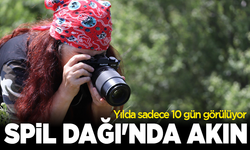 Yılda sadece 10 gün görülüyor: Spil Dağı'nda akın
