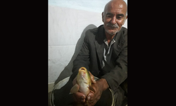 72 yaşındaki adam sulama göletinde boğuldu